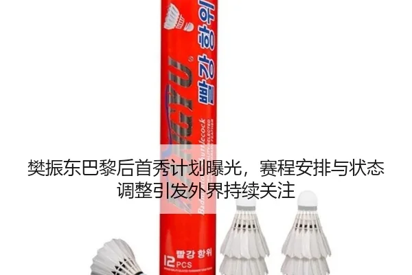 樊振东巴黎后首秀计划曝光，赛程安排与状态调整引发外界持续关注 - lanse